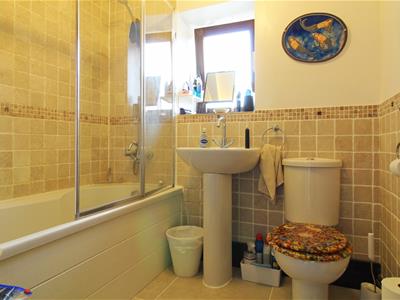 Picture 11